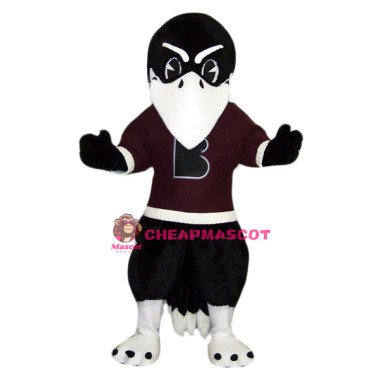 College Raven Mascot Costume