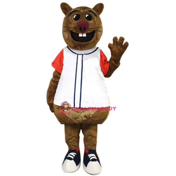 Cheap Squirrel Mascot Costume