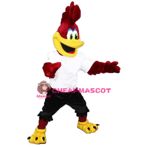 Bird Roadrunner Mascot Costume