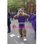 School Bobcat Mascot Costume