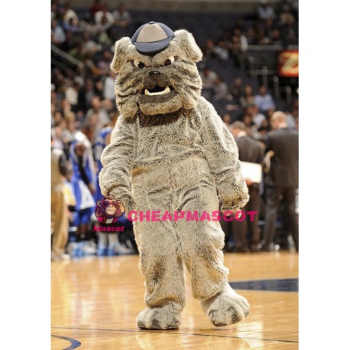 School Bulldog Mascot Costume