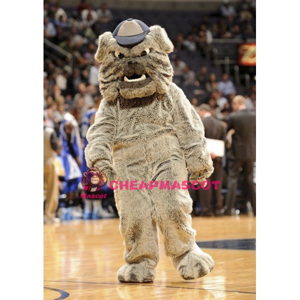 School Bulldog Mascot Costume