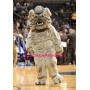 School Bulldog Mascot Costume