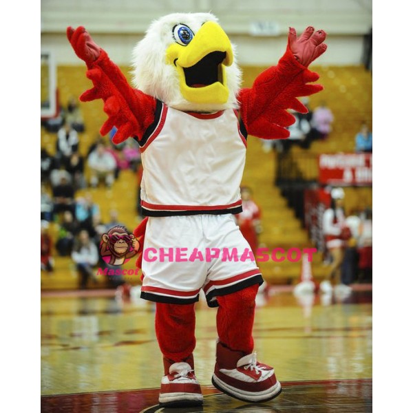College Hawks Mascot Costume