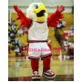 College Hawks Mascot Costume