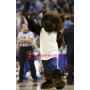 College Basketball Bear Mascot Costume