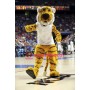 University Tiger Mascot Costume