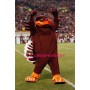 Hokie Bird Mascot Costume