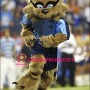 College Raccoon Mascot Costume