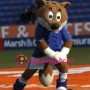 Adult Football Fox Mascot Costume