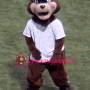 Baseball Bear Mascot Costume