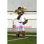 Baseball Moose Mascot Costume