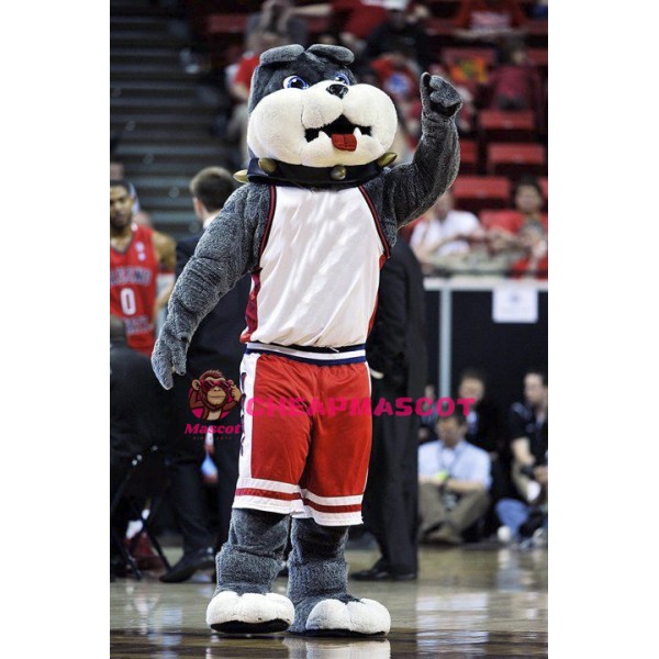 Cute College Bulldog Mascot Costume