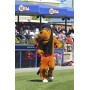 College Hound Dog Mascot Costume