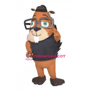 Cute Lightweight  Squirrel Mascot Costume
