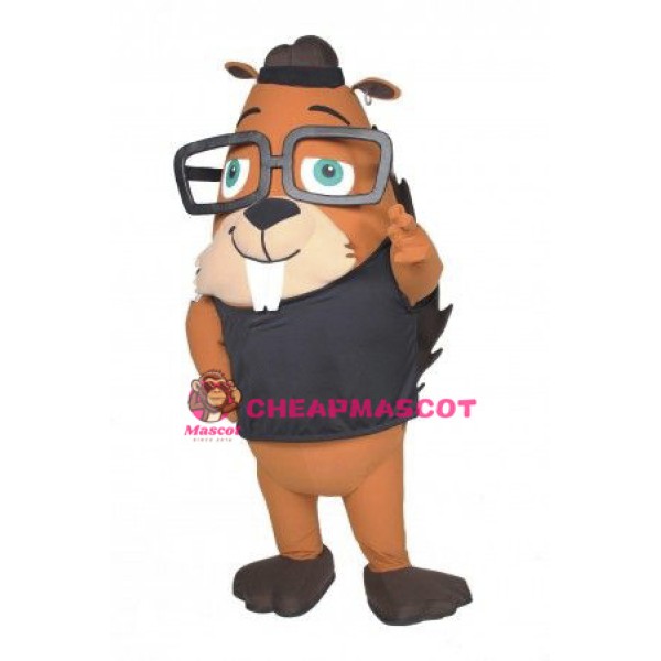 Cute Lightweight  Squirrel Mascot Costume