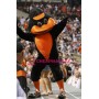 College Sport Duck Mascot Costume