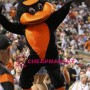 College Sport Duck Mascot Costume