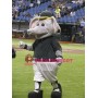 College Sport Elephant Mascot Costume