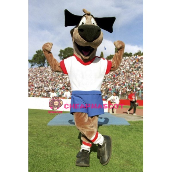 Soccer Dog Mascot Costume