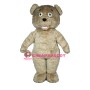The Shaggy Teddy Bear Mascot Costume