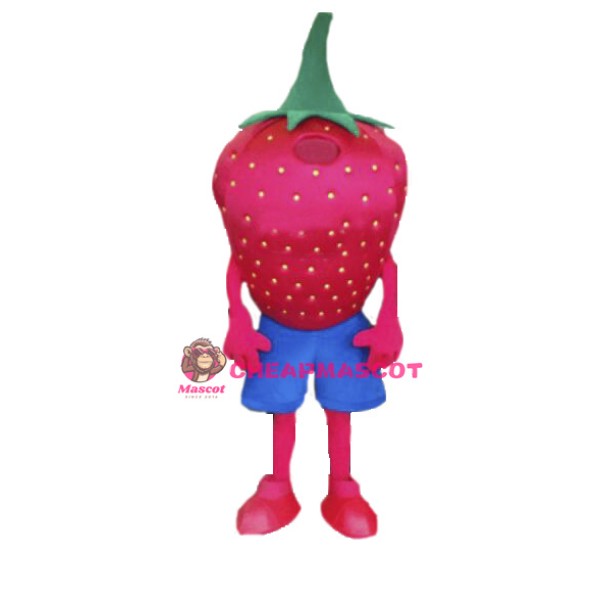 Strawberry Mascot Costume