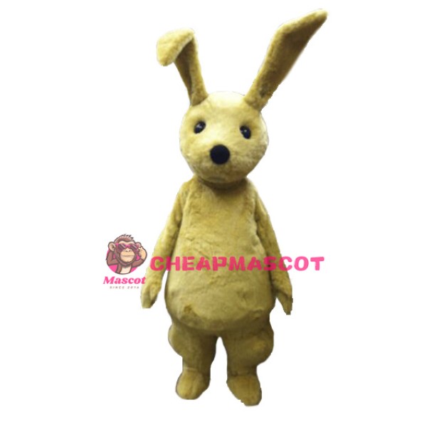 Young Rabbit Mascot Costume