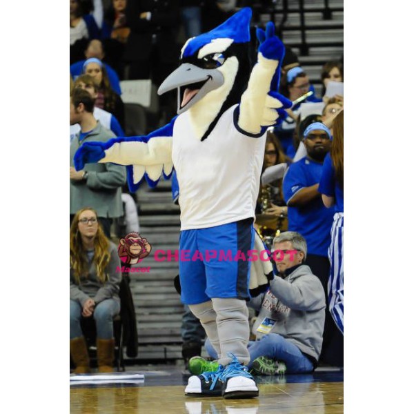 Sport Blue & Black Bird Mascot Costume
