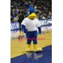 College Blue Bird Mascot Costume