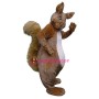 Furry Squirrel Mascot Costume