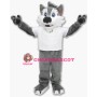 College Wolf Mascot Costume