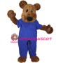 Doctor Teddy Bear Mascot Costume