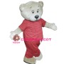 Health Consultant Bear Mascot Costume