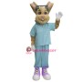 Doctor Bunny Mascot Costume