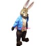 Peter Rabbit Mascot Costume