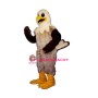 Happy Hawk Mascot Costume