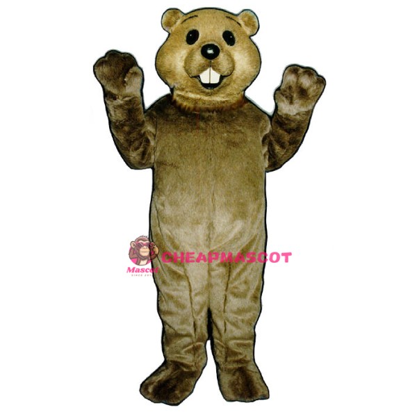 Cute Groundhog Mascot Costume