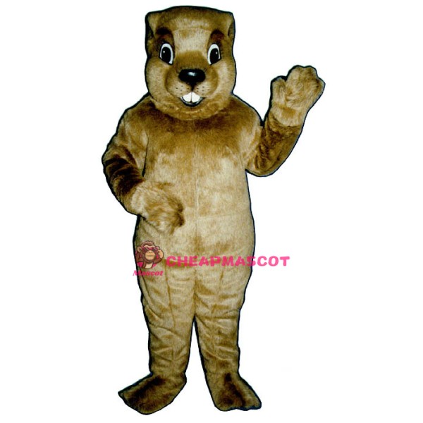 Groundhog Mascot Costume