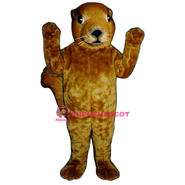 Realistic Squirrel Mascot Costume