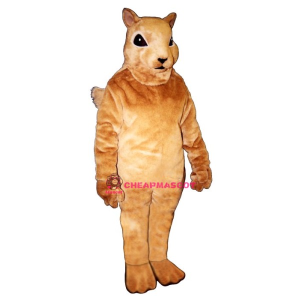 Squirrely Mascot Costume