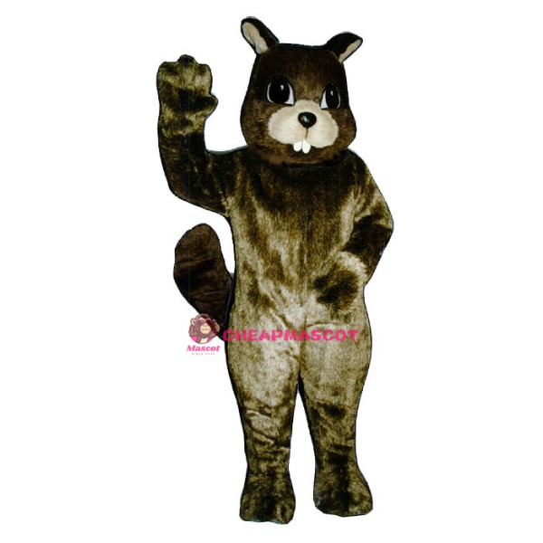 Cute Squirrel Mascot Costume