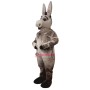 Donald Donkey Mascot Costume