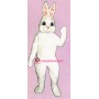 White Bunny Mascot Costume