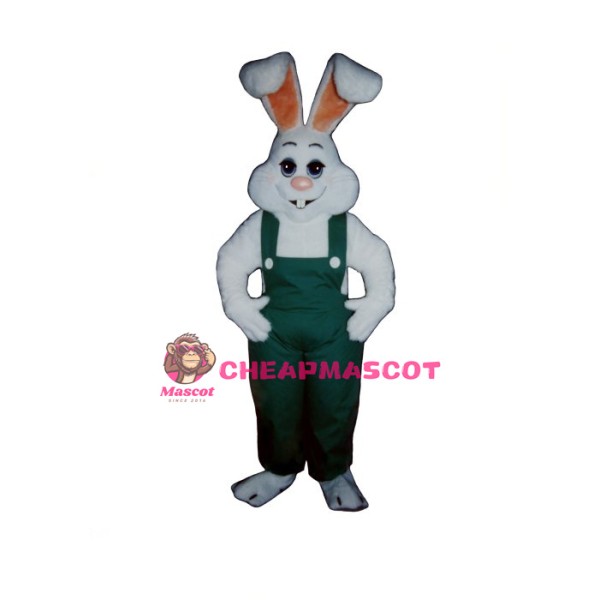 Bunny Boy Mascot Costume