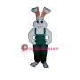 Bunny Boy Mascot Costume