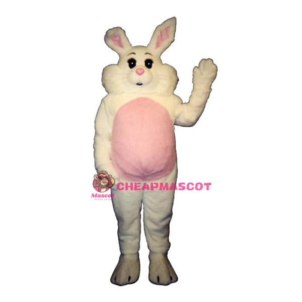 Willy Rabbit Mascot Costume