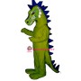 English Dragon Mascot Costume