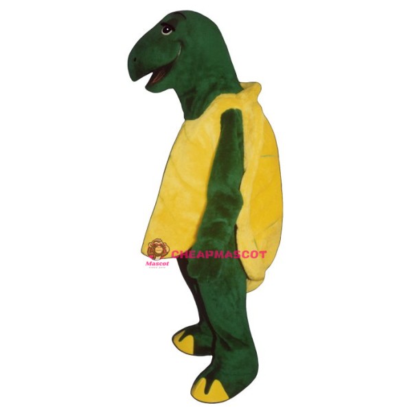 Tortoise Mascot Costume