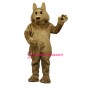 Kyle Koyote Mascot Costume