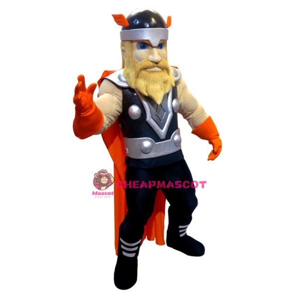 Vikings Mascot Costume